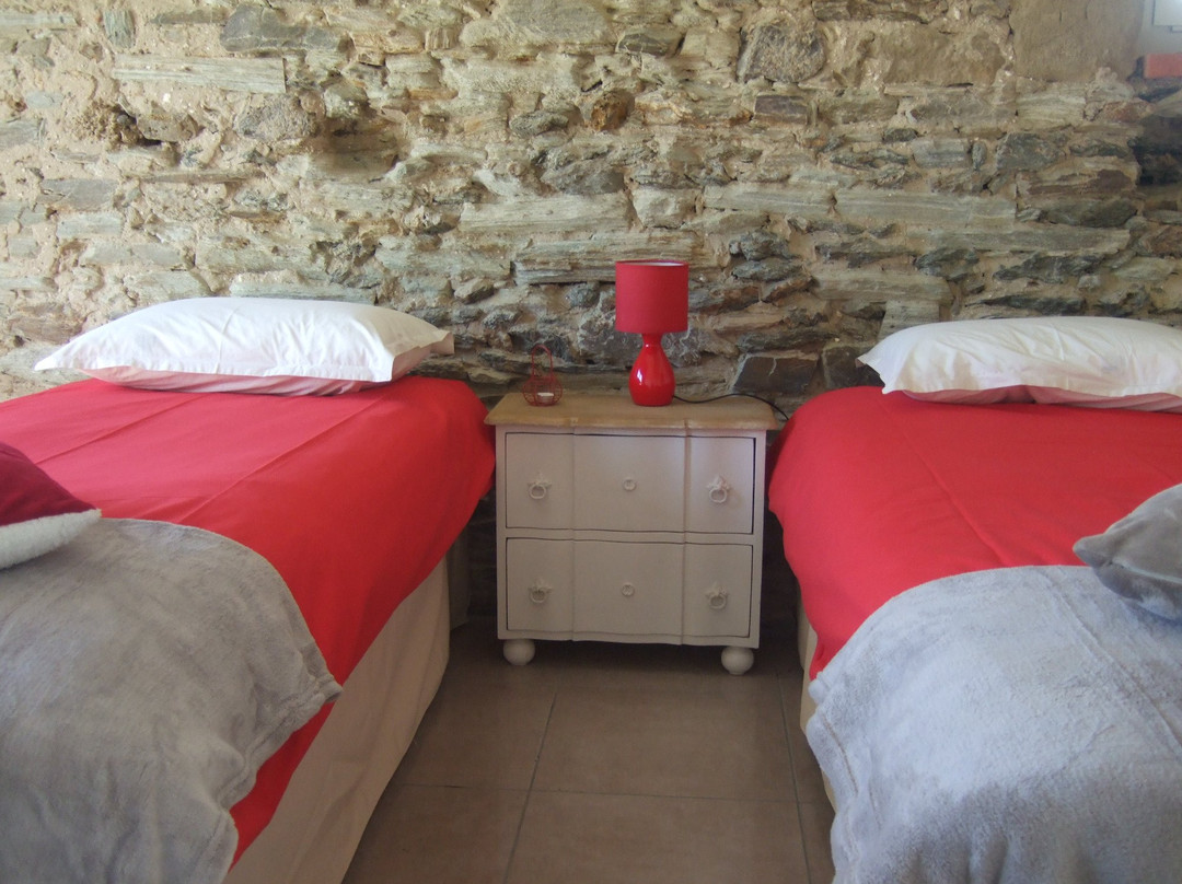 Belge Attitude主图