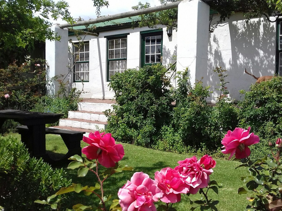 Lavender Cottages