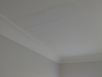 Red Star Palm Beach主图