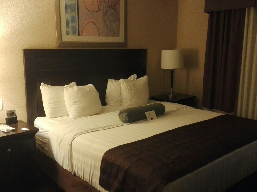 亨德森温德姆温格特酒店主图