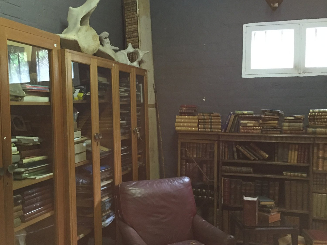 Quagga Rare Books and Art-Kalk Bay必去景点