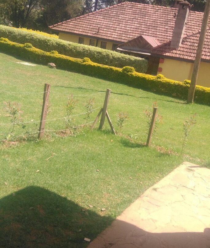 County Gardens