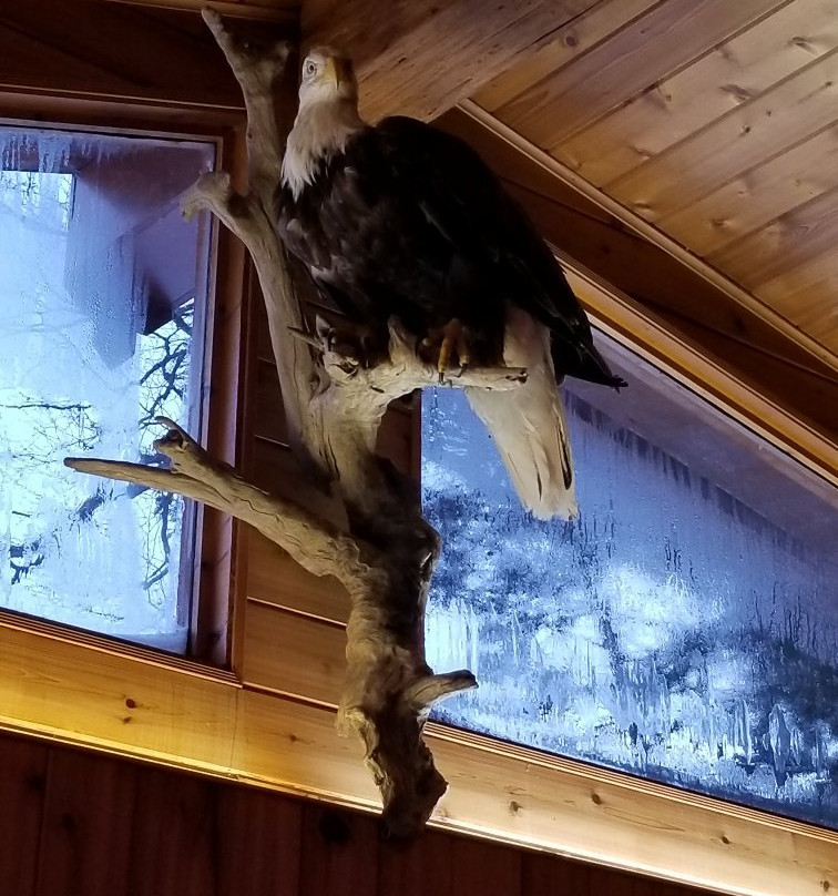 Skeena River House Bed & Breakfast主图