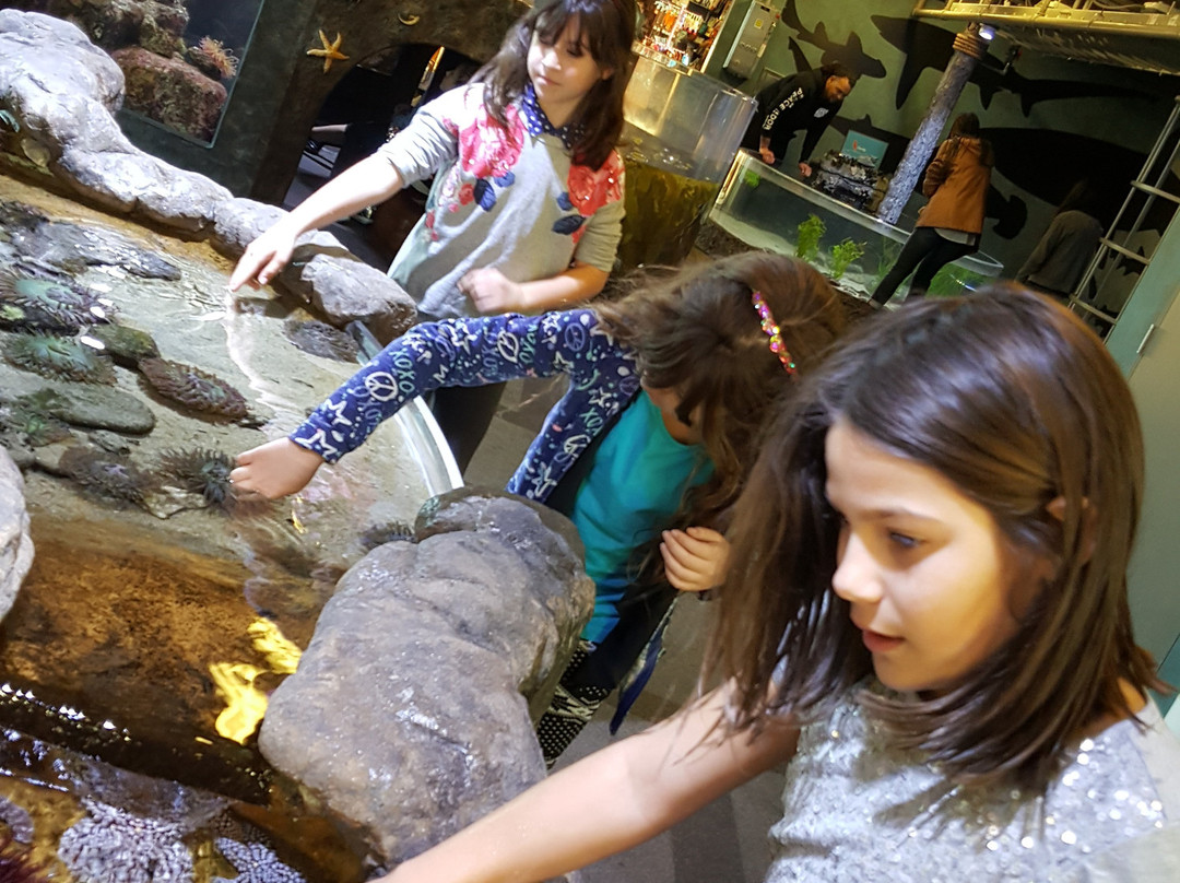 Santa Barbara Museum of Natural History Sea Center-圣巴巴拉必去景点