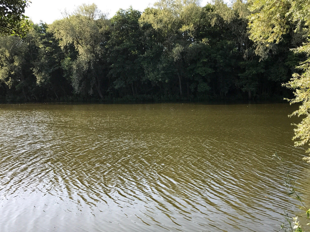 Broadlands Lakes Coarse Fishery景点图片