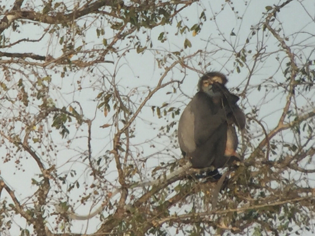 Seima Protection Forest-森莫诺隆必去景点