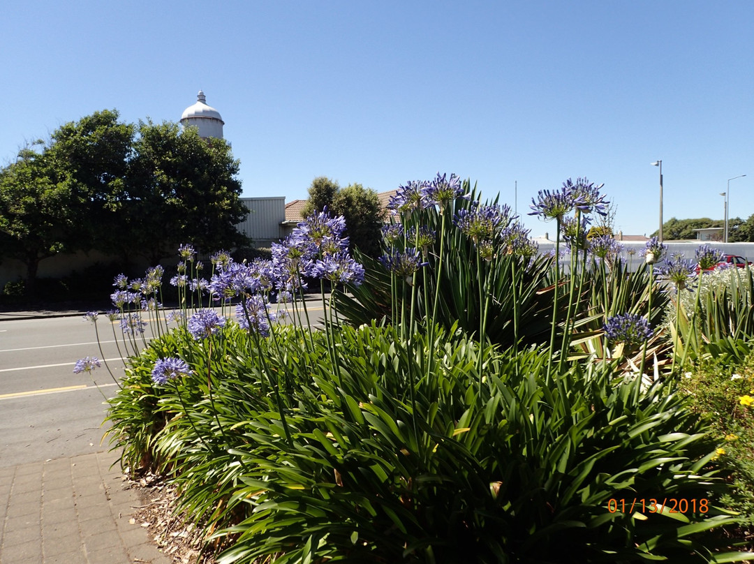 Otakaro Park景点图片