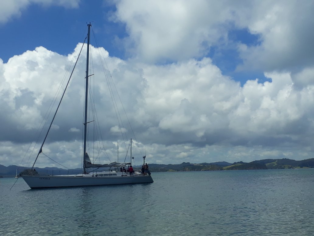 Bay of Islands Sailing/Gungha II景点图片