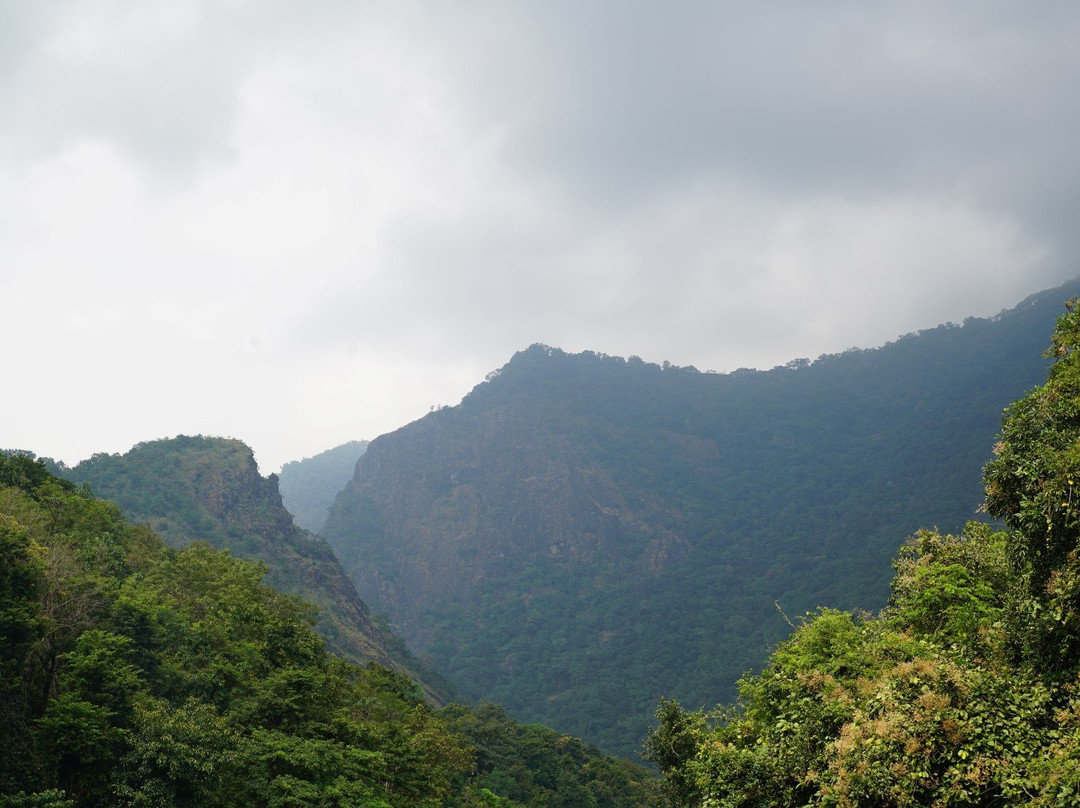 Virgin Valley Pathrakadvu景点图片