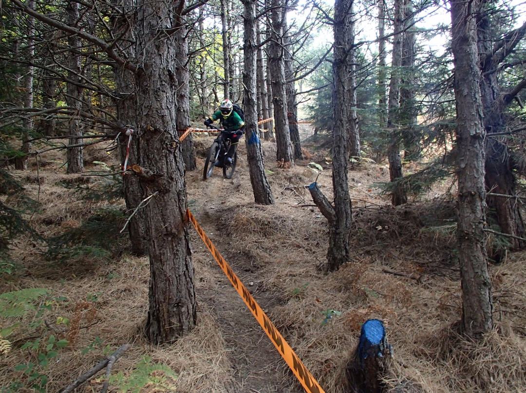 Xtremeway Outdoors景点图片
