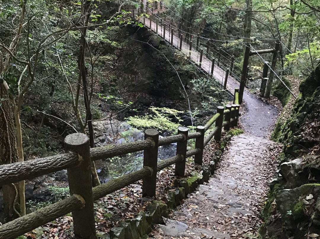 Supension Bridge, Umenoki Todoroki Park-八代市必去景点