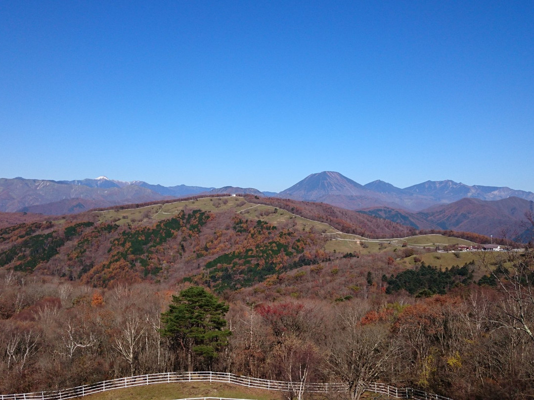 Ido Wetland-鹿沼市必去景点