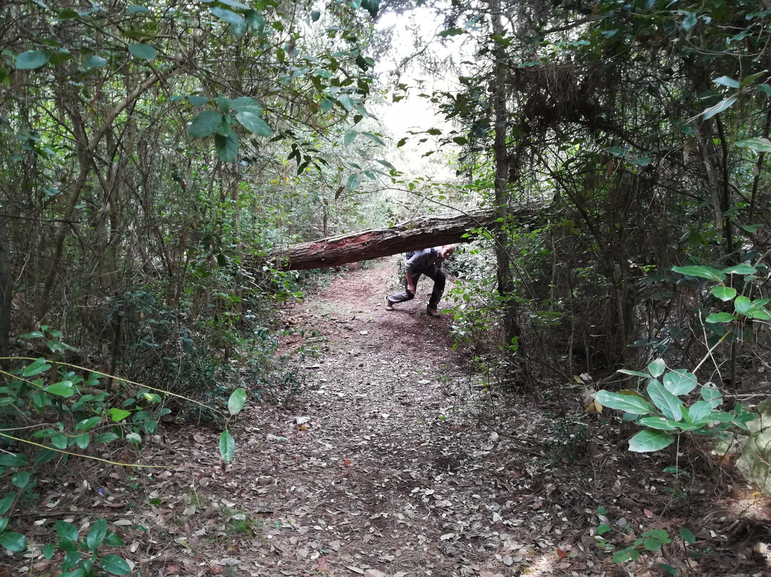 Survival and Adventure School ExtremeSurvive-普拉必去景点