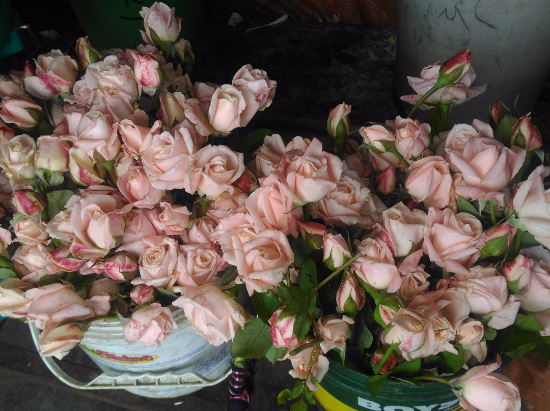 Central market-碧瑶必去景点