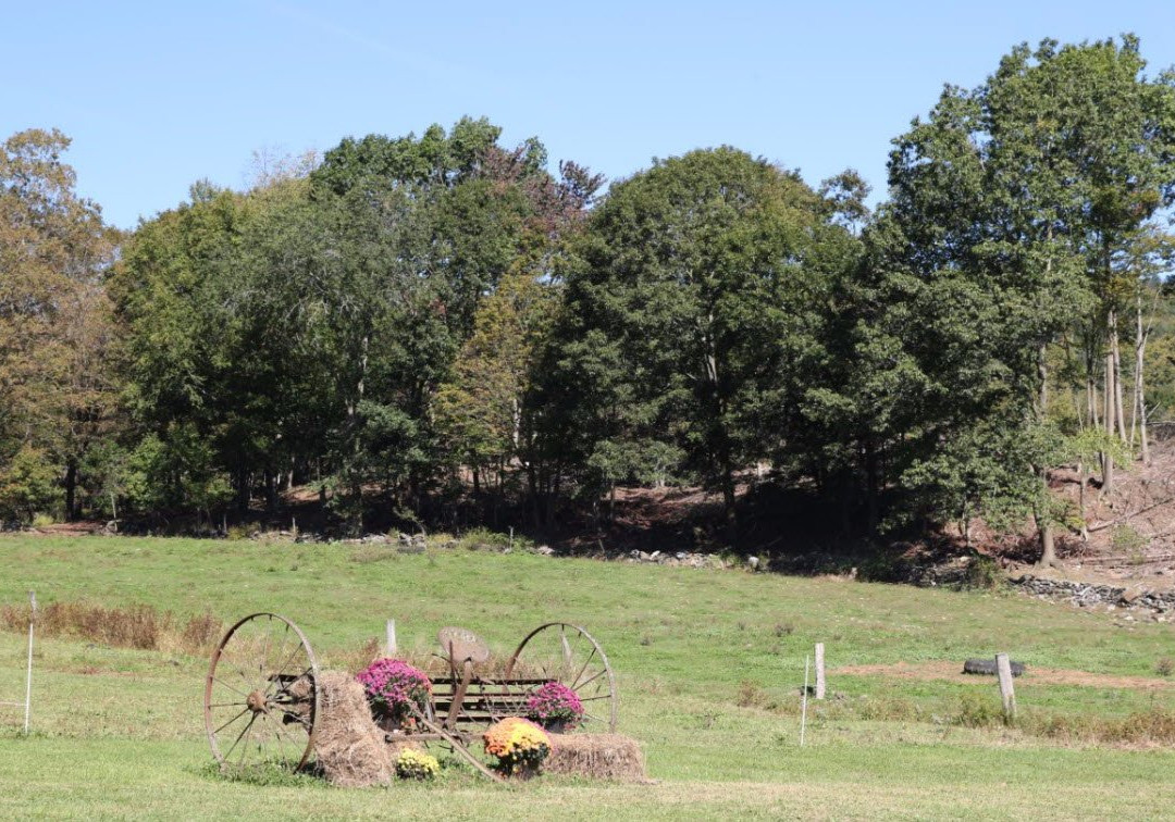 Robb Family Farm-布拉特尔伯勒必去景点