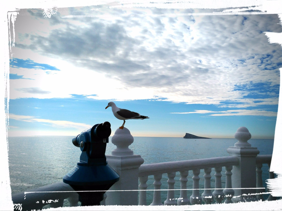 Tours Mediterraneo景点图片