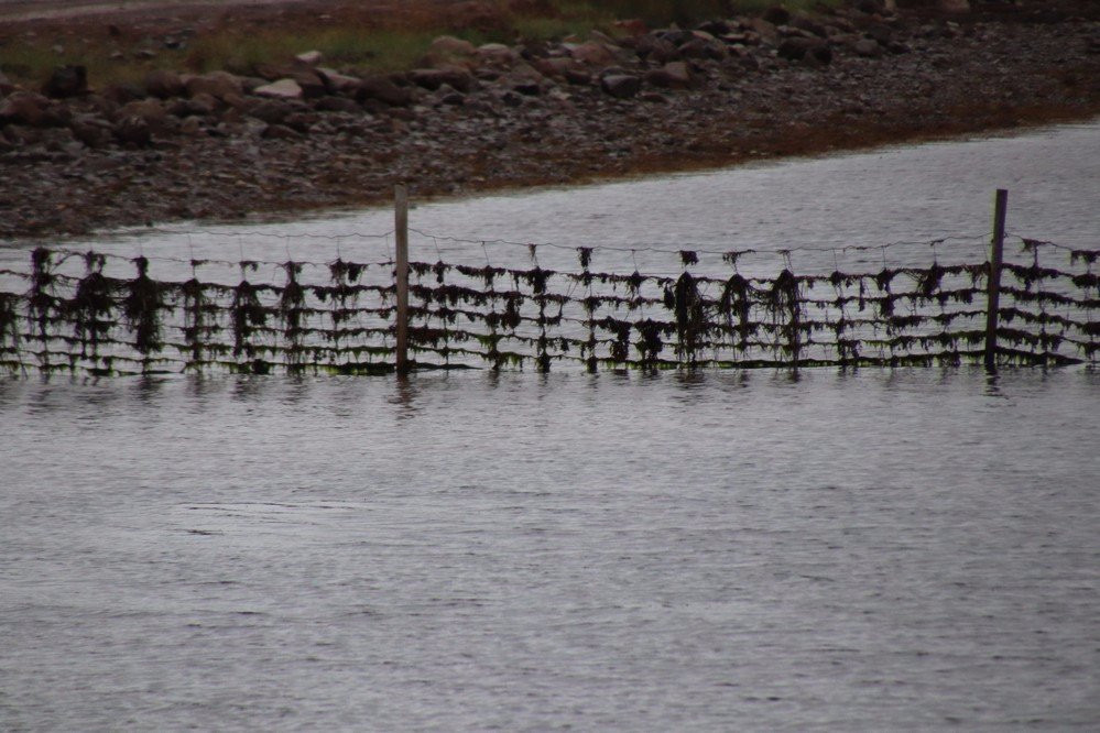 Enragee Point Lighthouse-Cheticamp必去景点