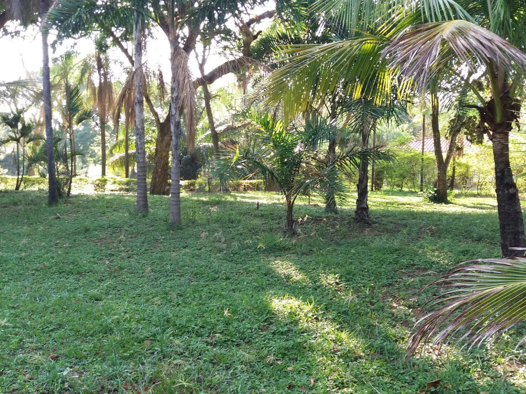 Hotel Rio Selva Resort Santa Cruz主图