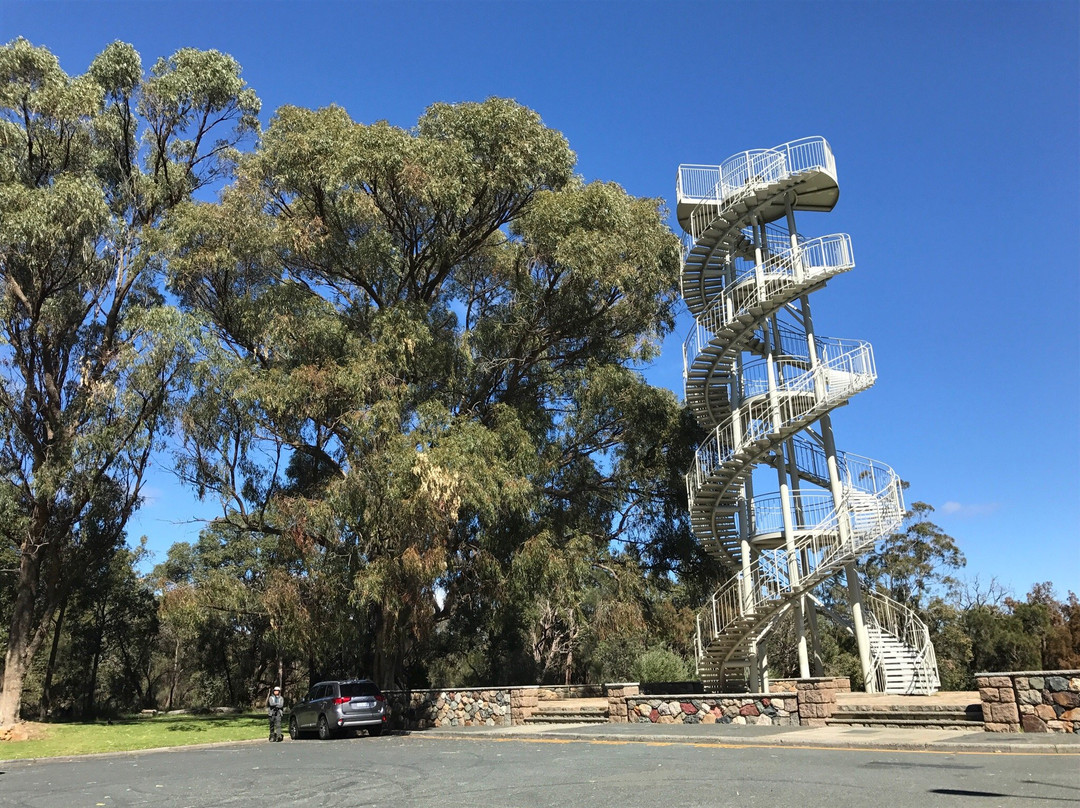 DNA Tower Climb景点图片