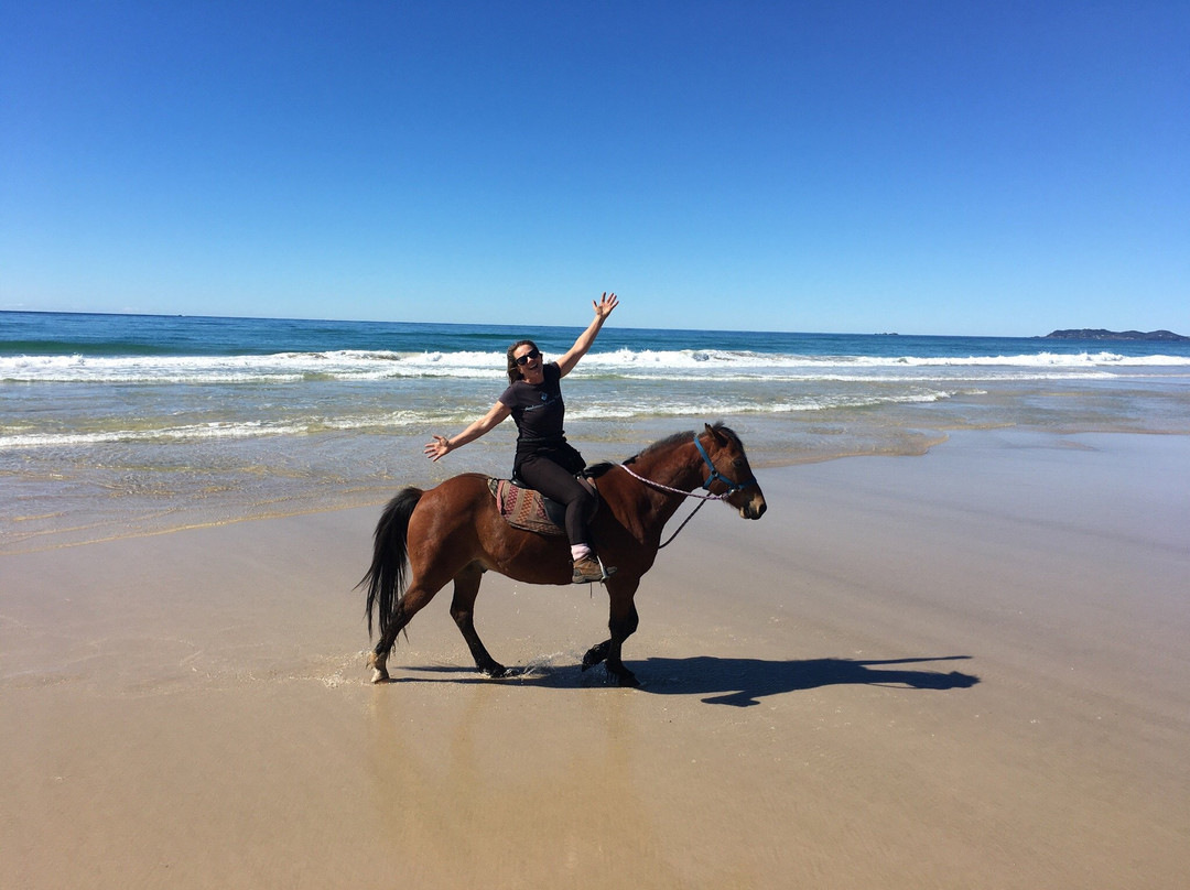 Seahorses Riding Centre景点图片