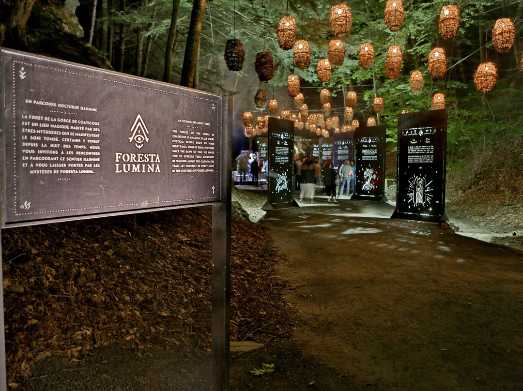Foresta Lumina