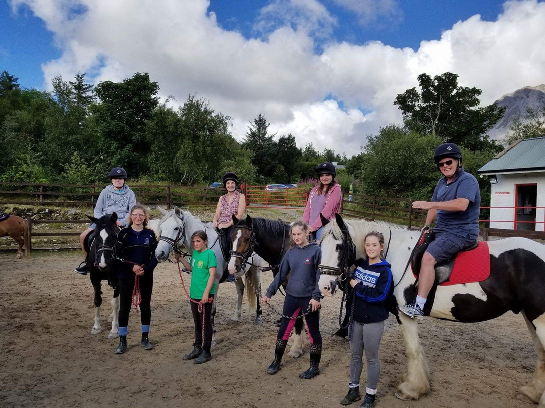 Wild Atlantic Equestrian Centre景点图片