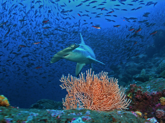 Galapagos Booking Travel-Puerto Baquerizo Moreno必去景点