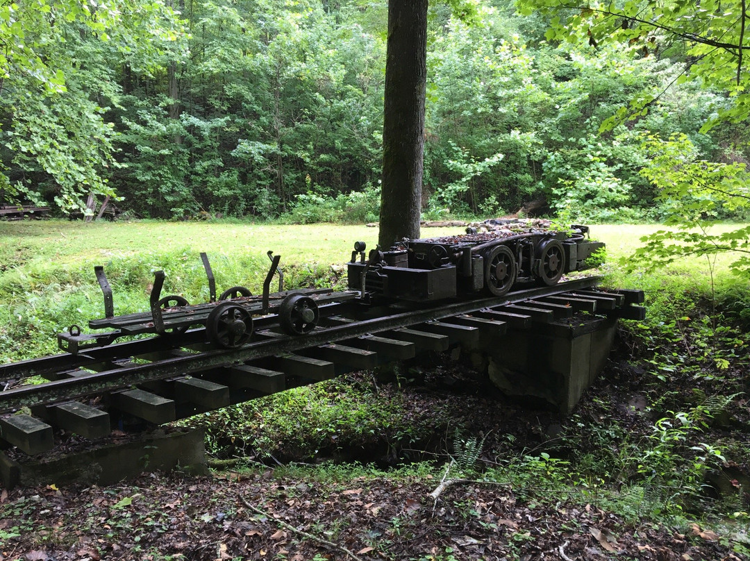 Barthell Coal Camp Private Tours景点图片