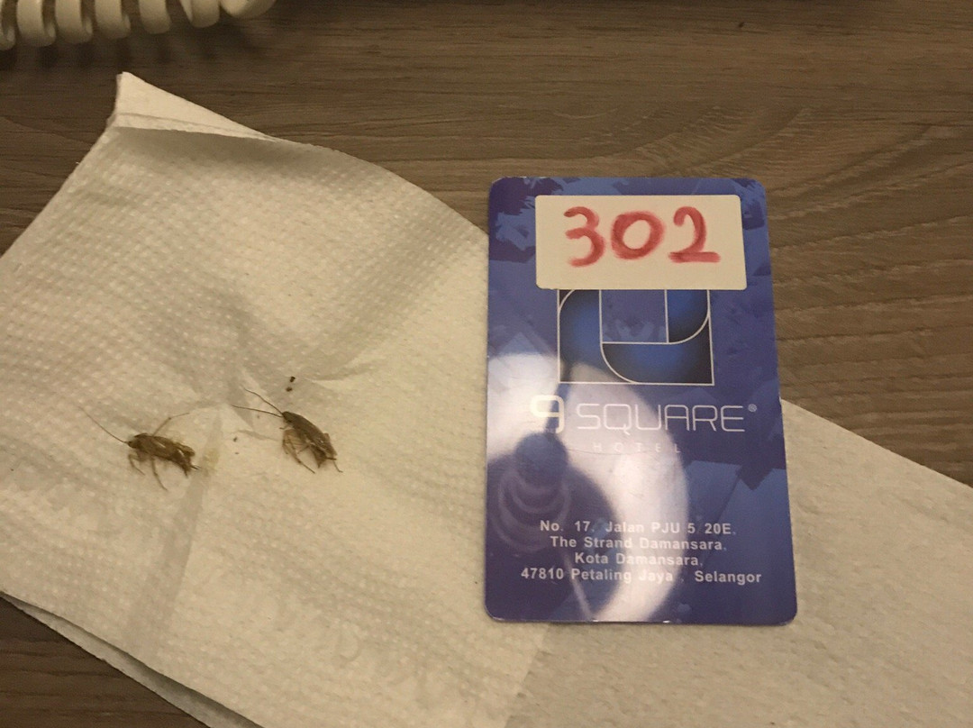 9 Square Hotel - Bangi主图