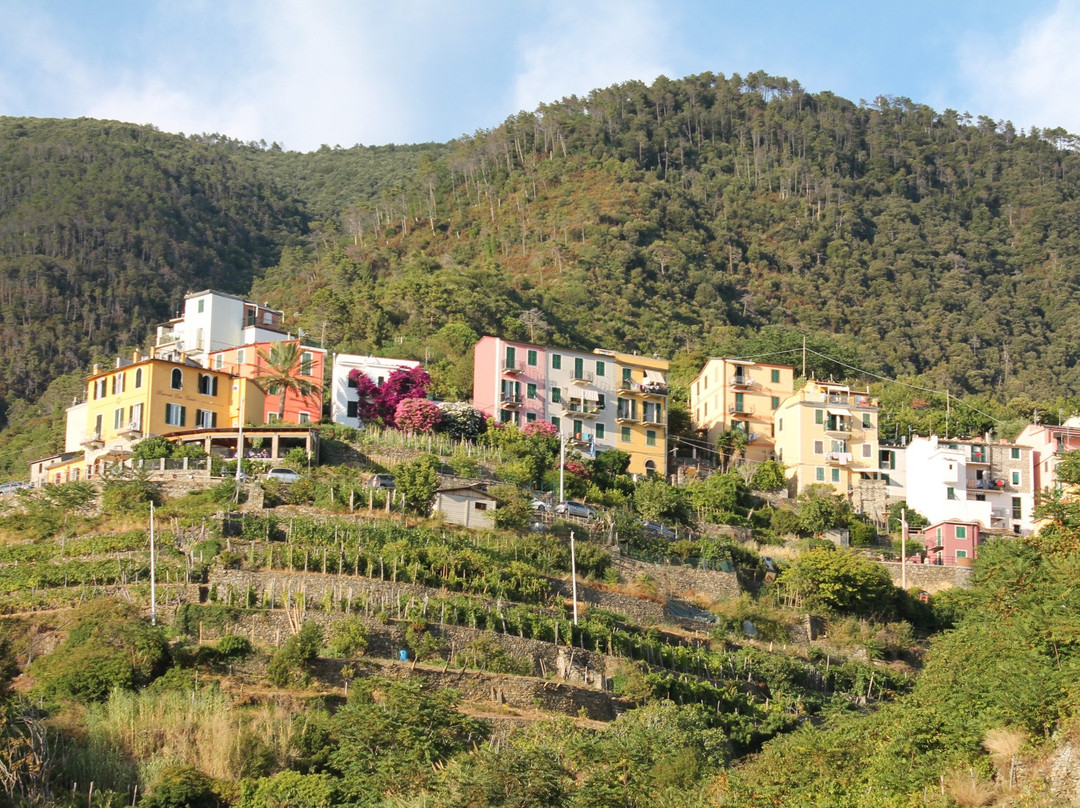 Borgo Storico di Corniglia景点图片