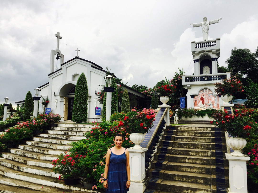 Marian Orchard景点图片