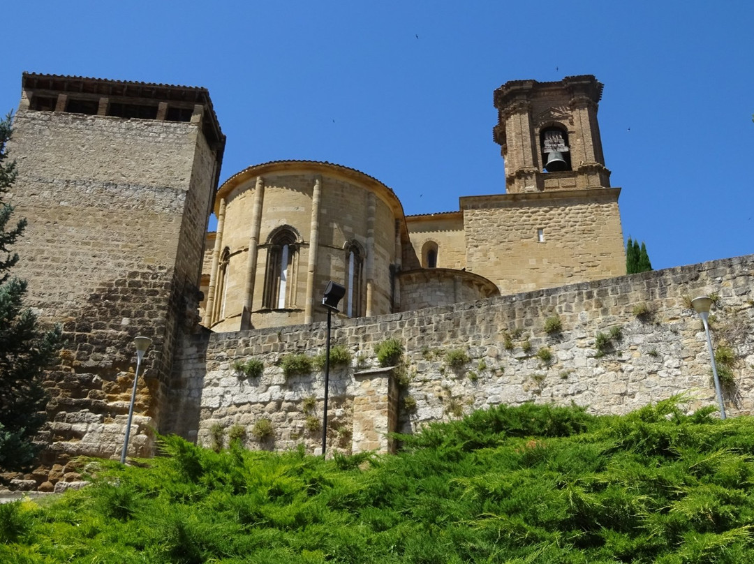 Navark Actividades Guiadas Estella