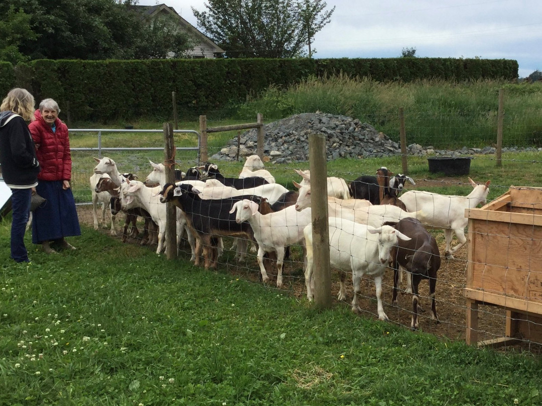 The Farm House Natural Cheeses-阿加斯市必去景点