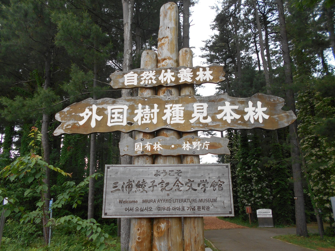 Asahikawa Forest of Foreign Tree Species景点图片
