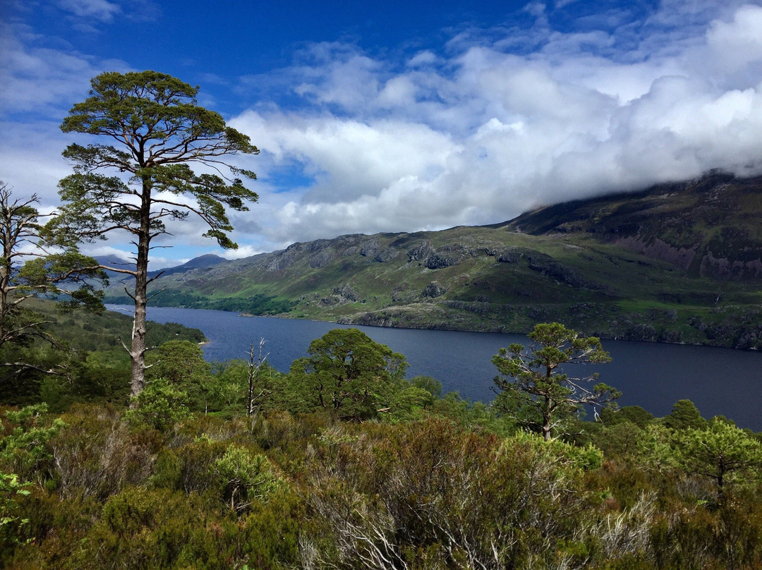 Beinn Eighe National Nature Reserve景点图片