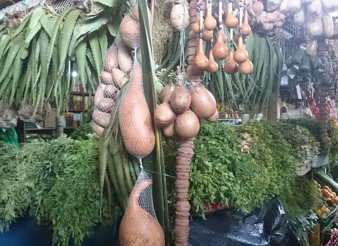 El Tour de la Fruta-波哥大必去景点