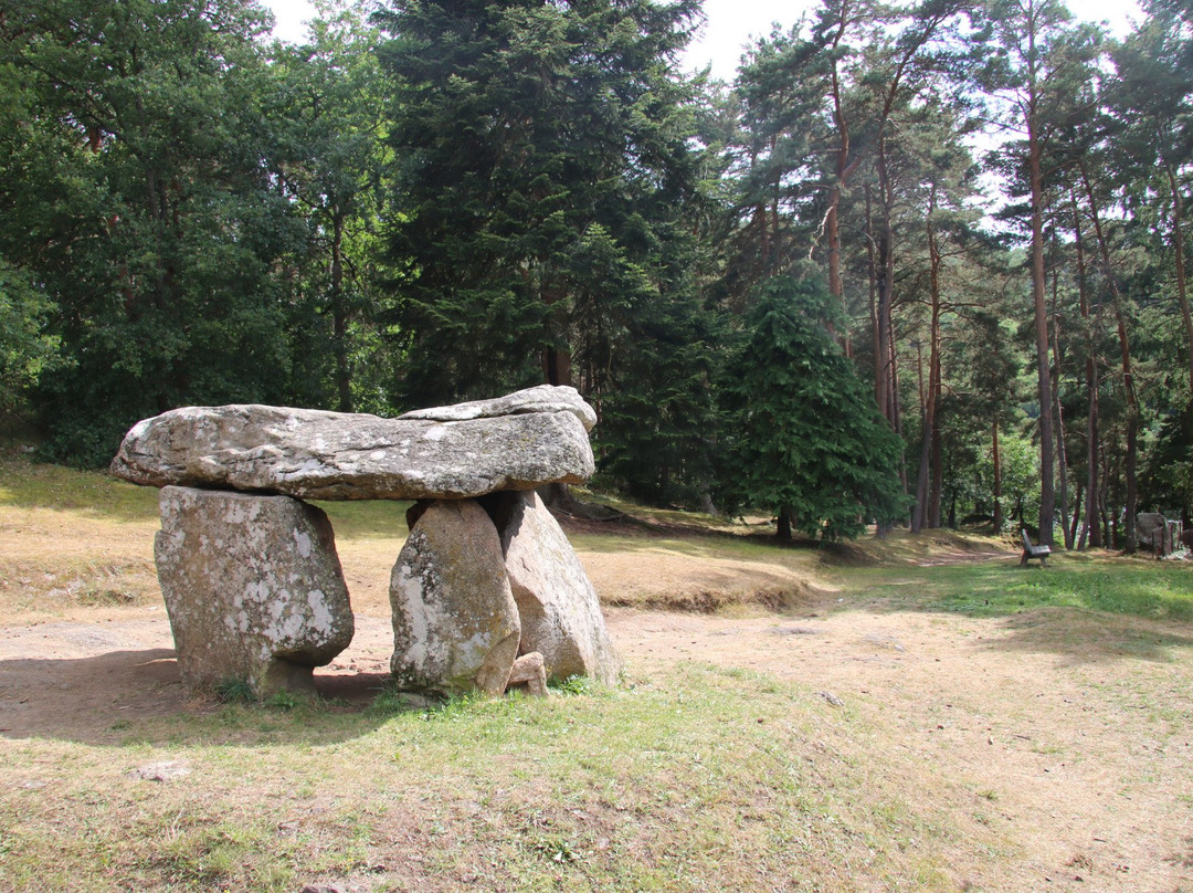 Parc du Dolmen景点图片