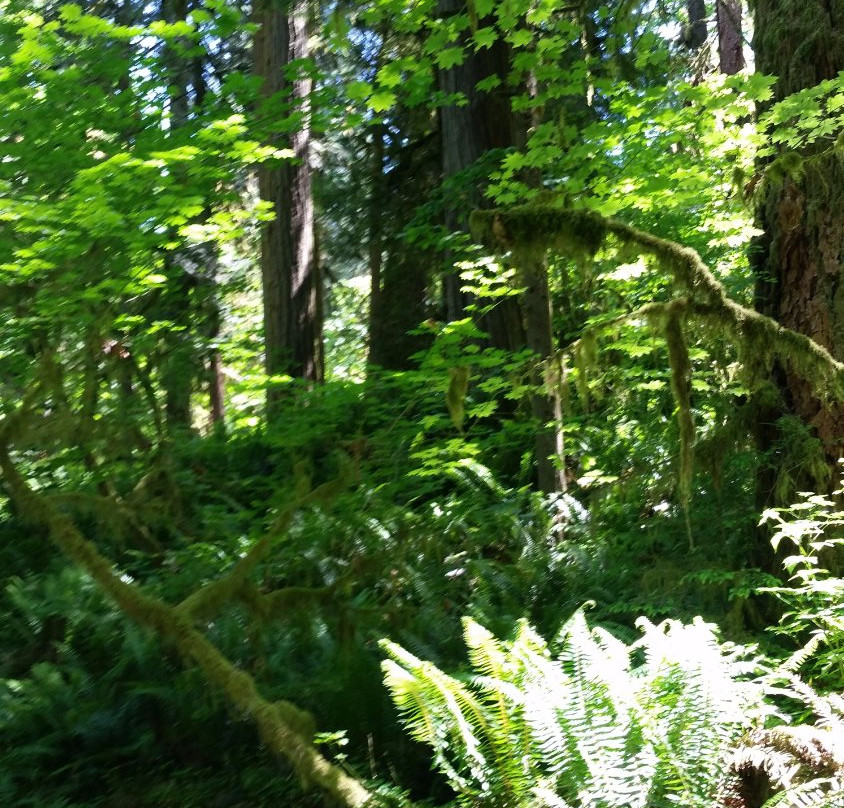 Oxbow Regional Park-格雷舍姆必去景点