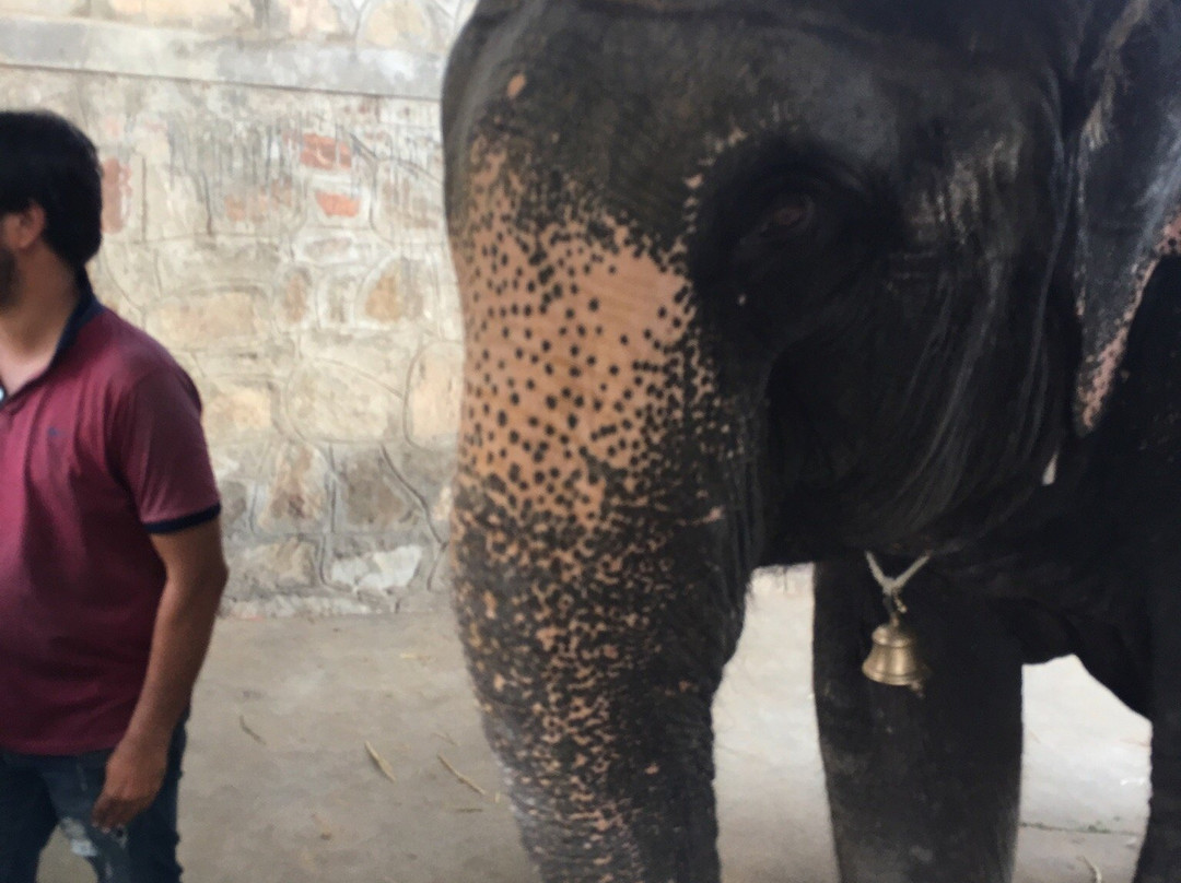 EleJaipur-斋蒲尔必去景点