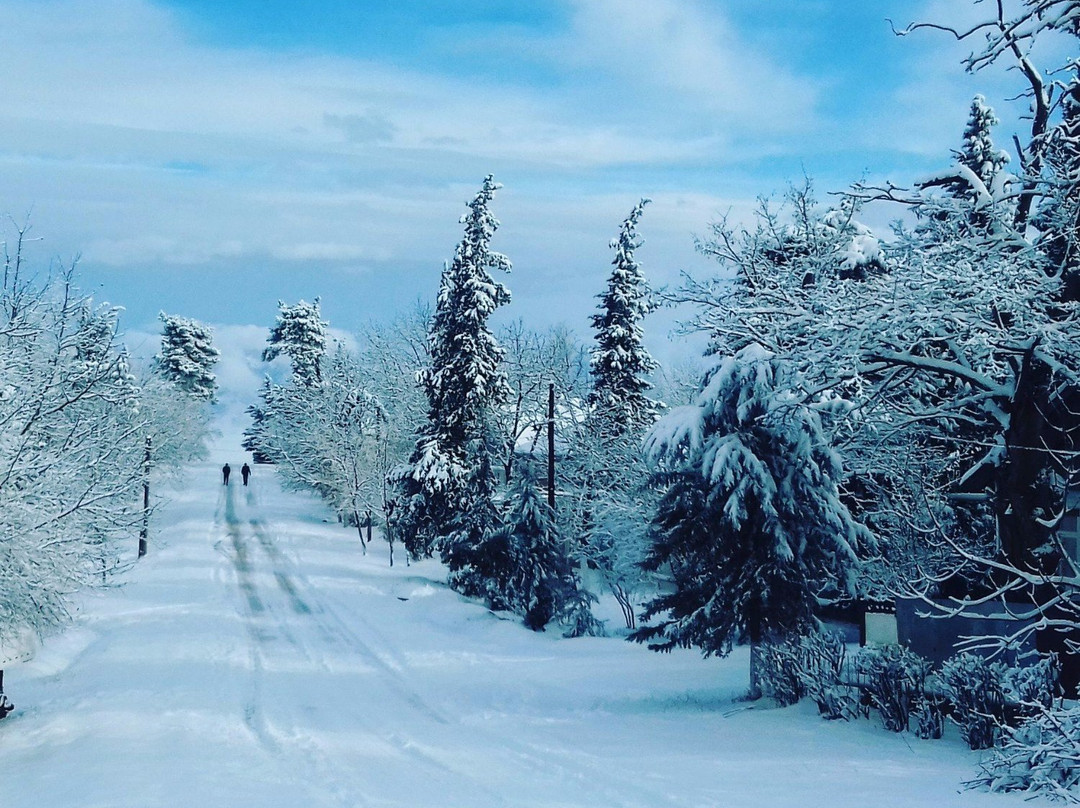 Kurdamir酒店住宿-Ivanovka Guest House