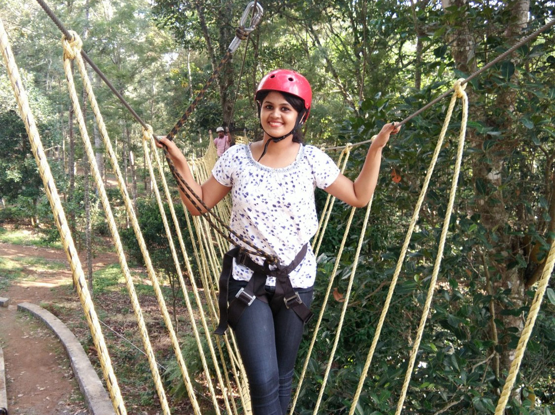 Grange TreeTop Adventure景点图片