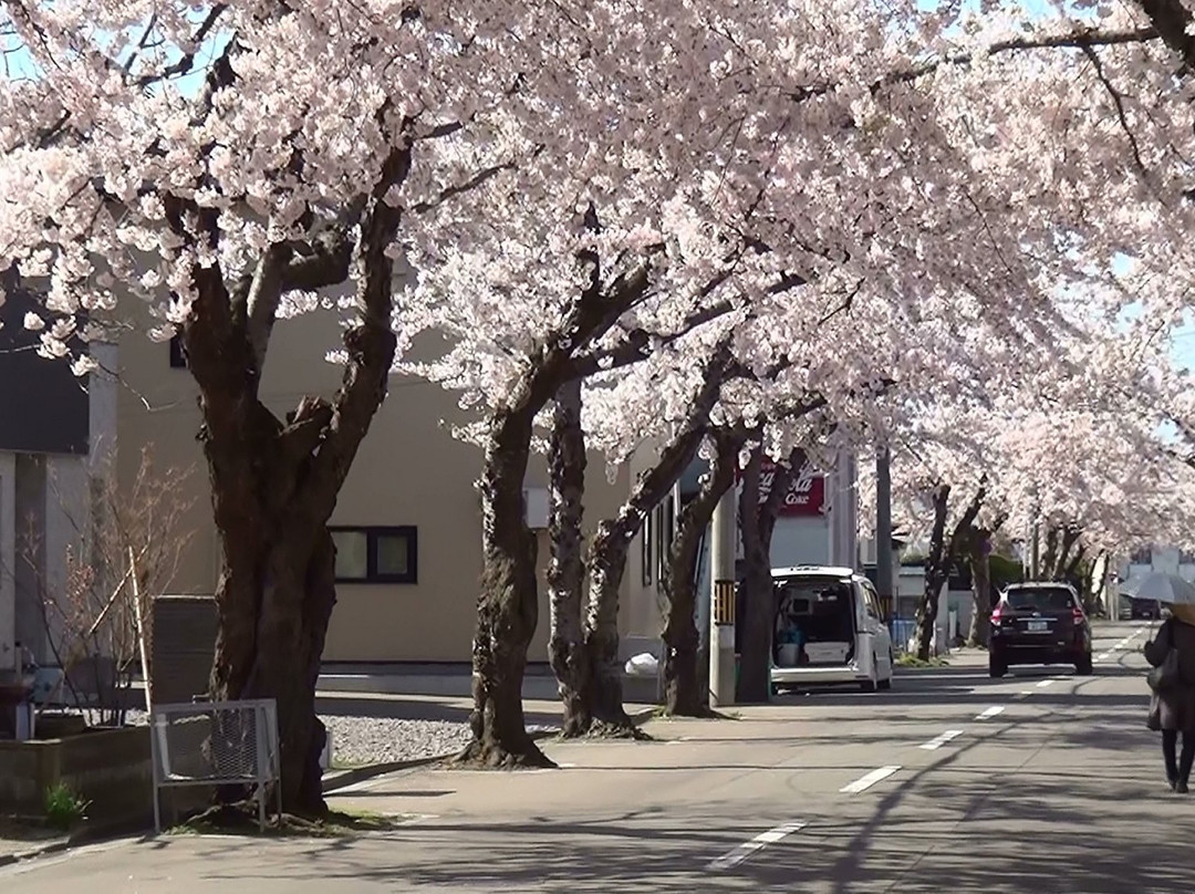 Sakuragaoka St.-函馆市必去景点