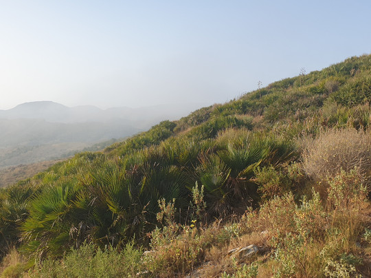 Cabezo De Los Calzones-Perin必去景点