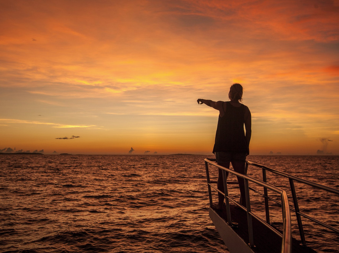 Ahoy Buccaneers - Day Cruise-布鲁姆必去景点