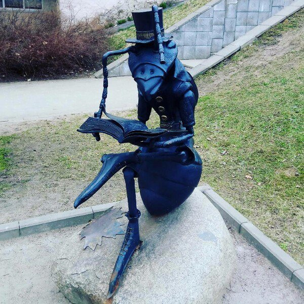 Ant Museum景点图片