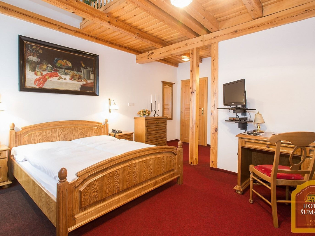 Hotel Sumava主图