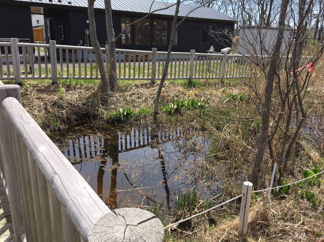 Kiushito Wetland-登别市必去景点