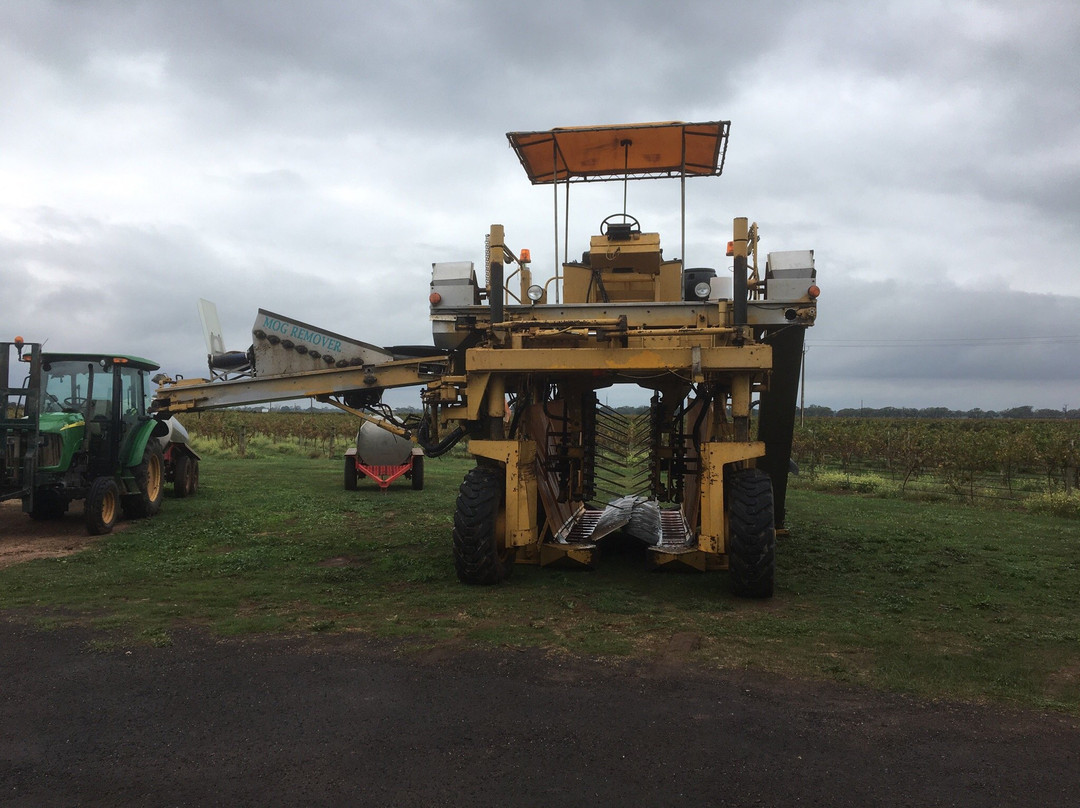 Redman Wines-Coonawarra必去景点