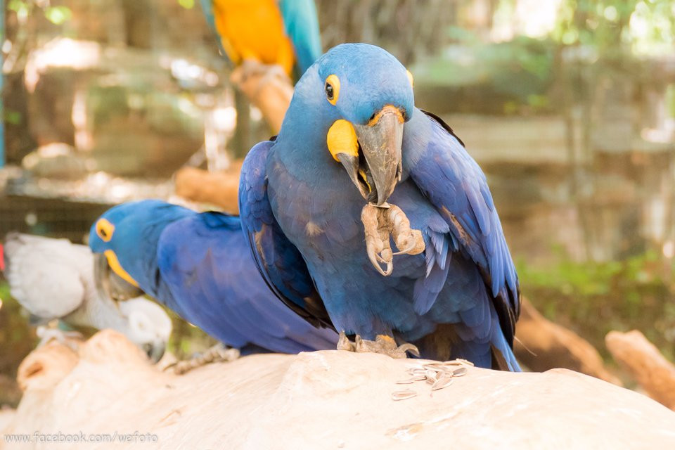 Suan Palm Farm Nok-埪坚必去景点