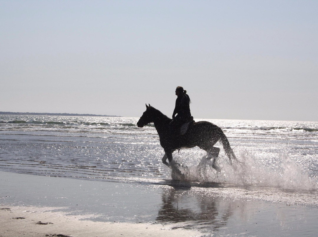 Equitation Ranchacienda-奥瑞尔必去景点